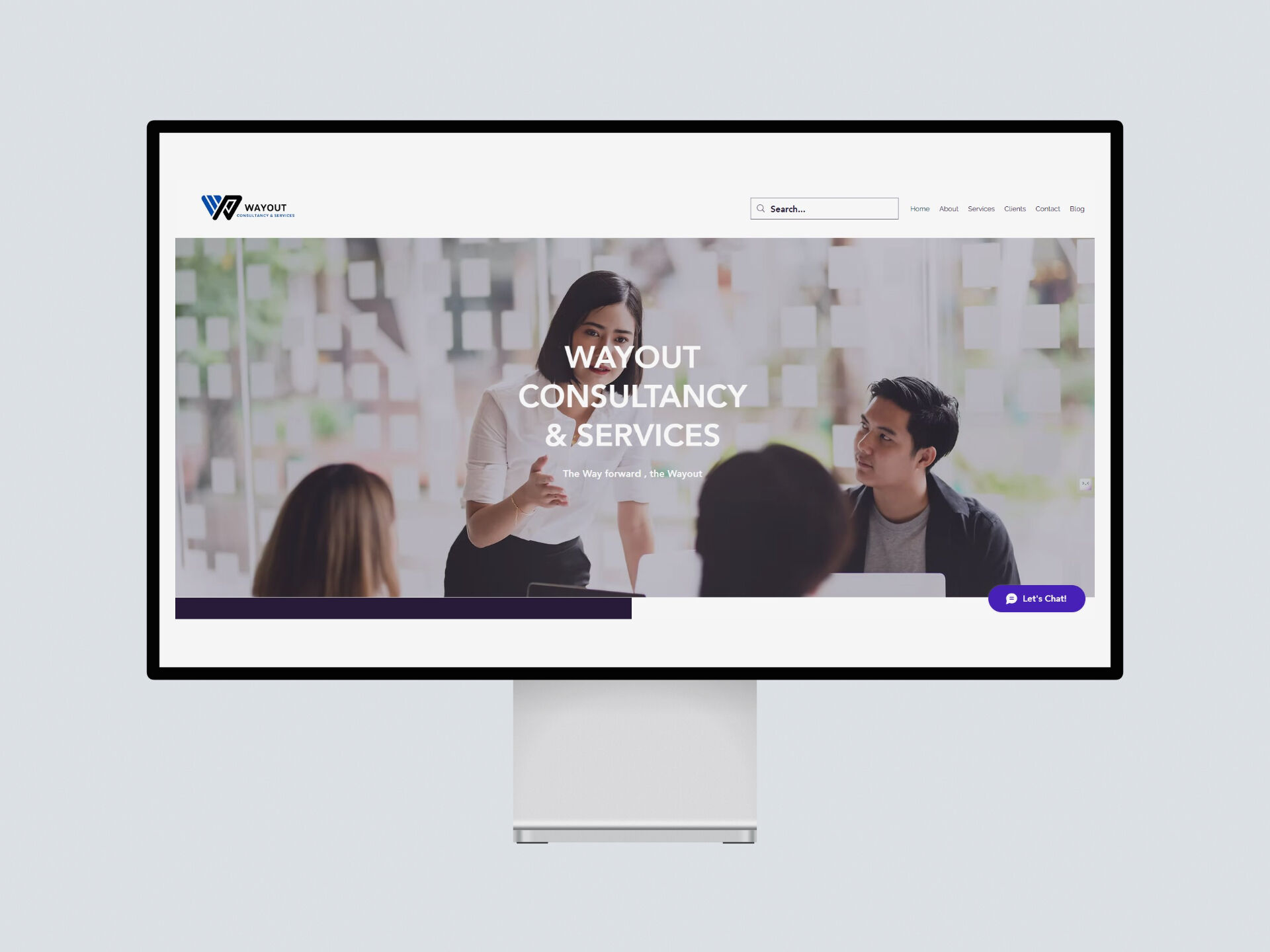Wayout Consultancy FMCG Website